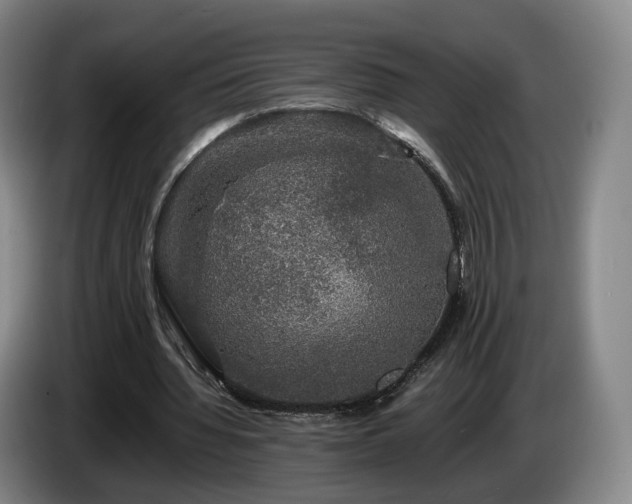 X0000085070436200703121645