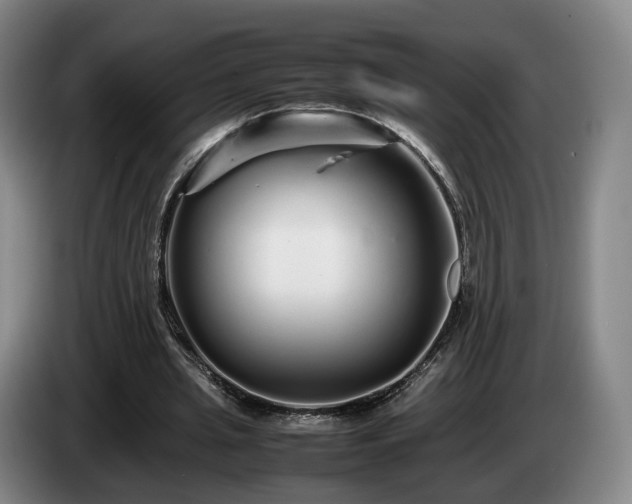 X0000085070437200703121645