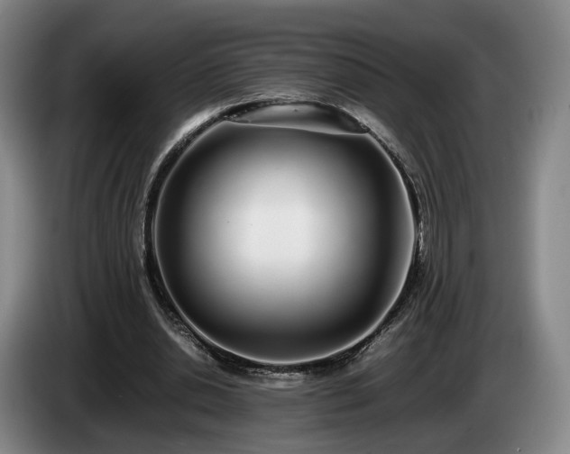 X0000085070438200703121645