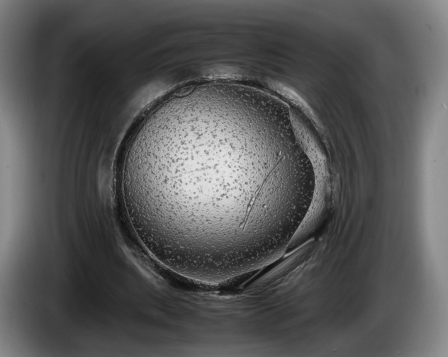 X0000085070439200703121645