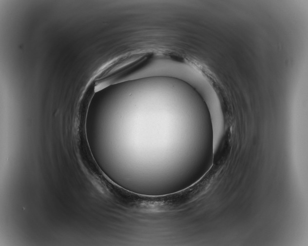 X0000085070440200703121645