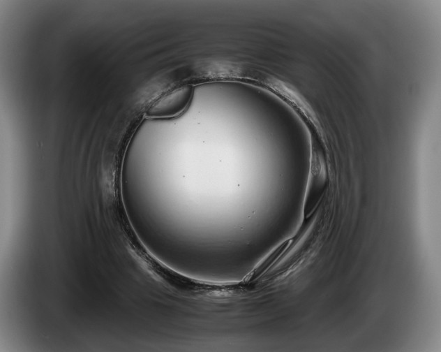 X0000085070441200703121645