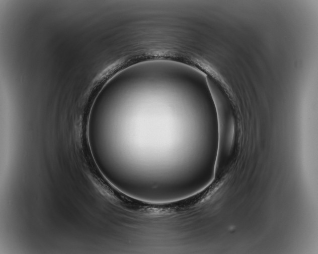 X0000085070442200703121645