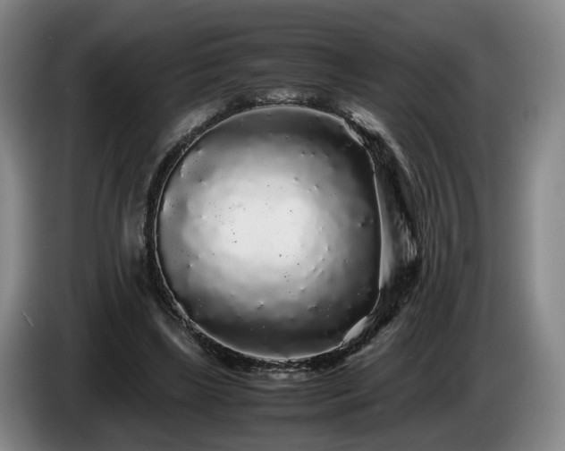 X0000085070443200703121645