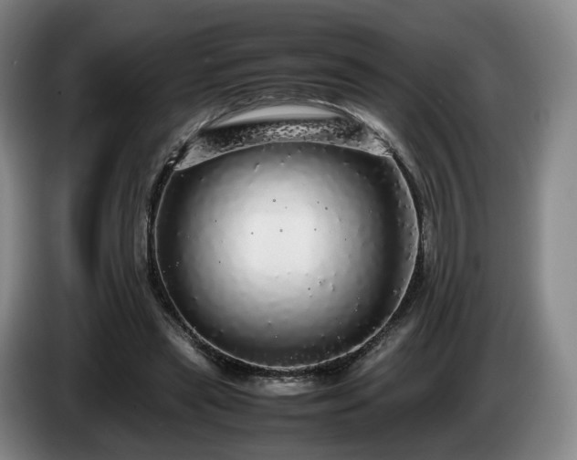 X0000085070445200703121645