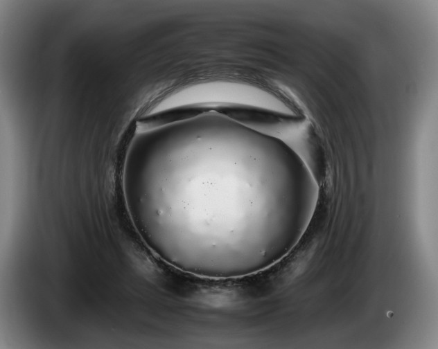 X0000085070447200703121645