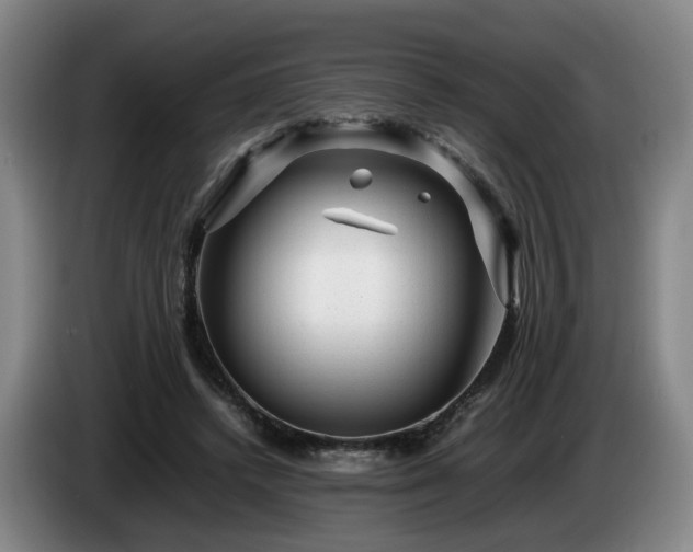 X0000085070448200703121645