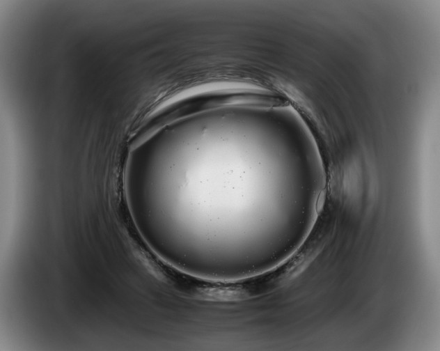 X0000085070449200703121645