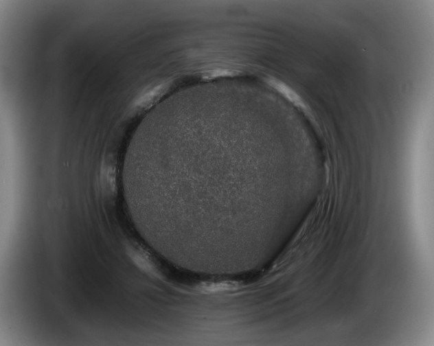 X0000085070452200703121645