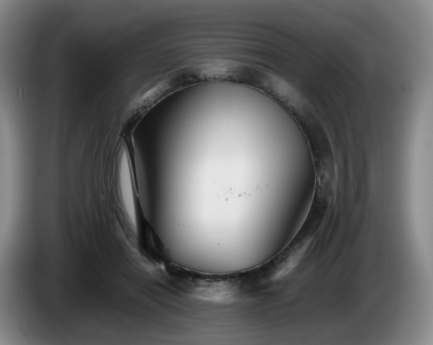 X0000085070454200703121645