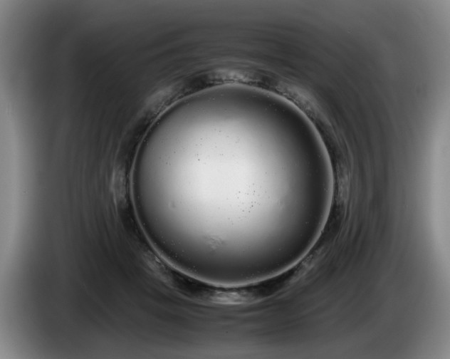 X0000085070457200703121645