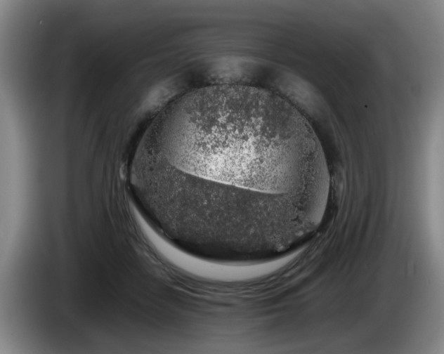 X0000085070458200703121645