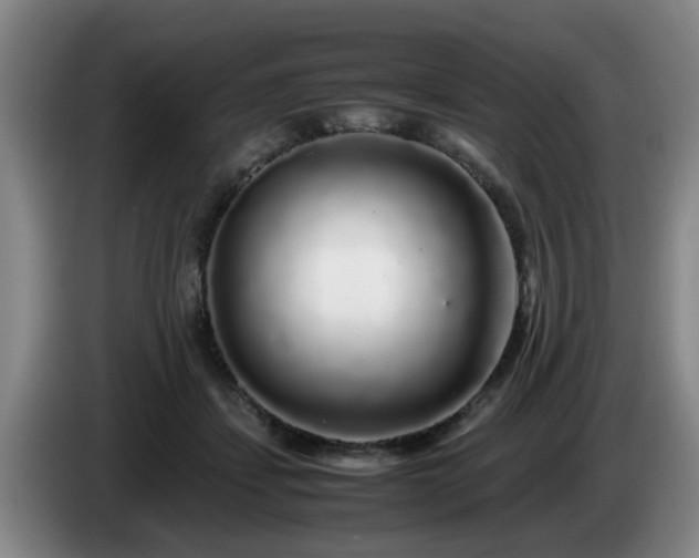 X0000085070459200703121645