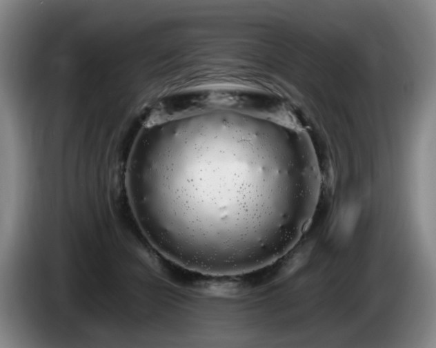 X0000085070462200703121645