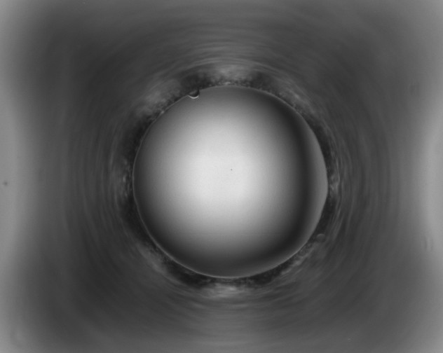 X0000085070464200703121645