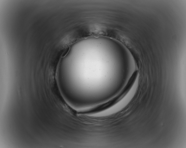 X0000085070466200703121645