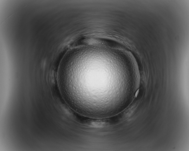 X0000085070470200703121645