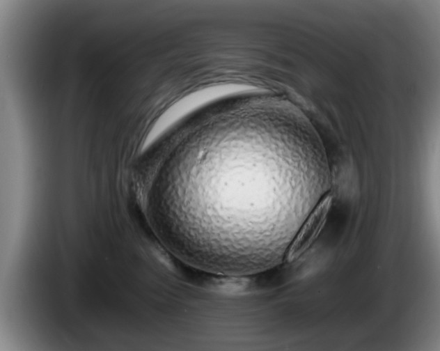 X0000085070474200703121645