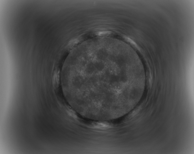 X0000085070475200703121645