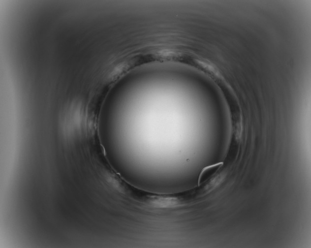 X0000085070476200703121646