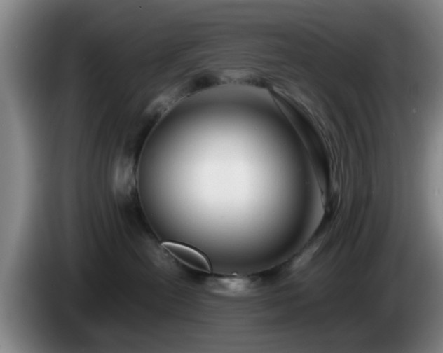 X0000085070478200703121646