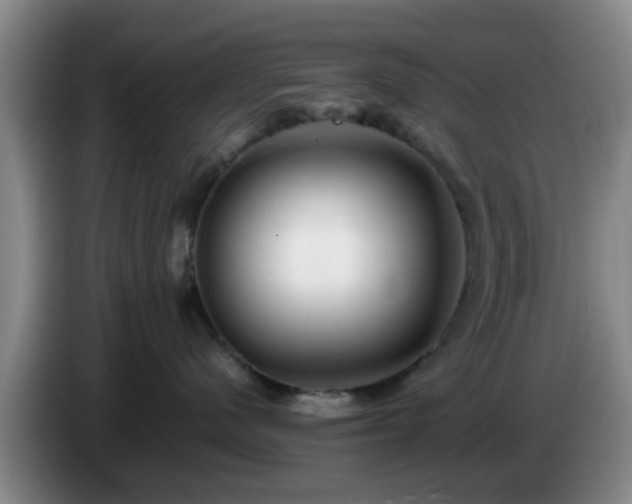 X0000085070480200703121646