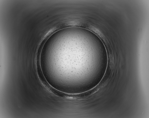 X0000085070482200703121645