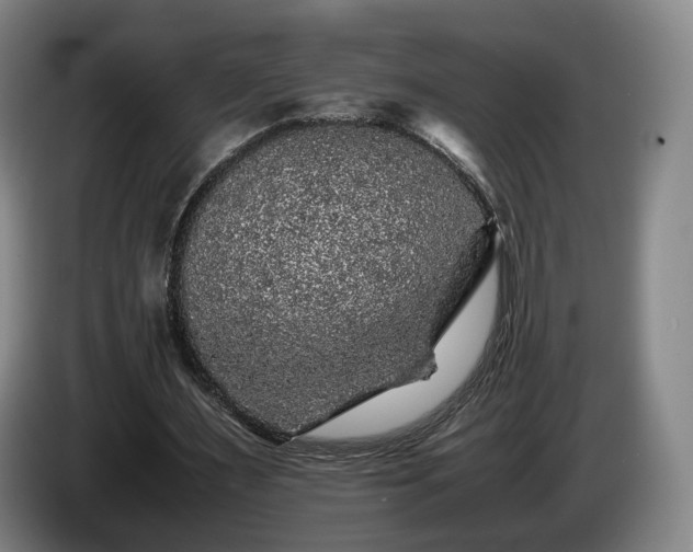 X0000085070483200703121645