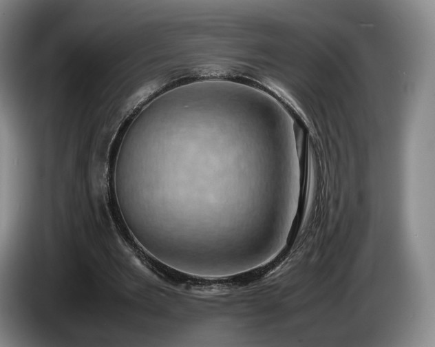 X0000085070485200703121645