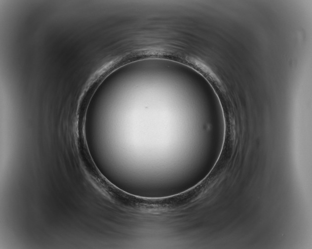 X0000085070486200703121645