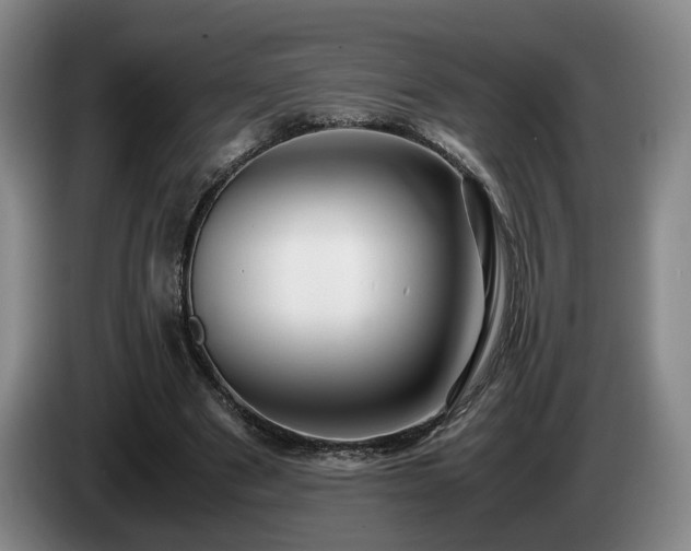 X0000085070489200703121645