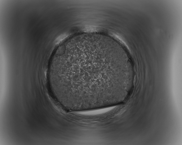 X0000085070491200703121645