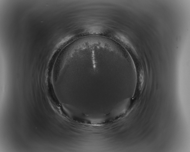 X0000085070492200703121645