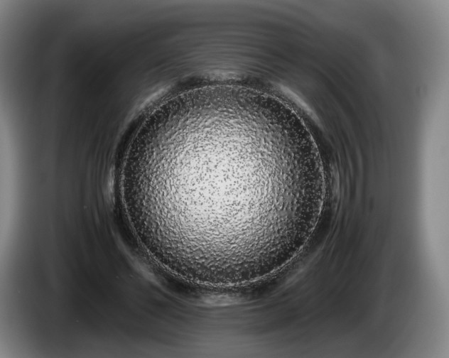 X0000085070494200703121645