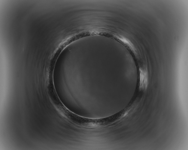 X0000085070496200703121645