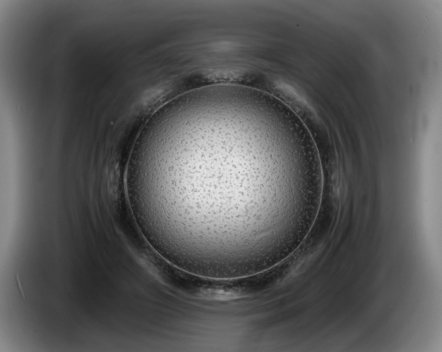 X0000085070498200703121645