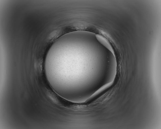 X0000085070501200703121645