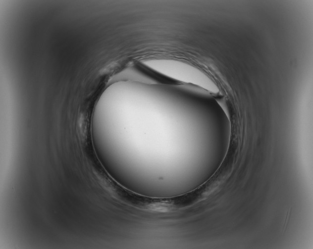 X0000085070505200703121645