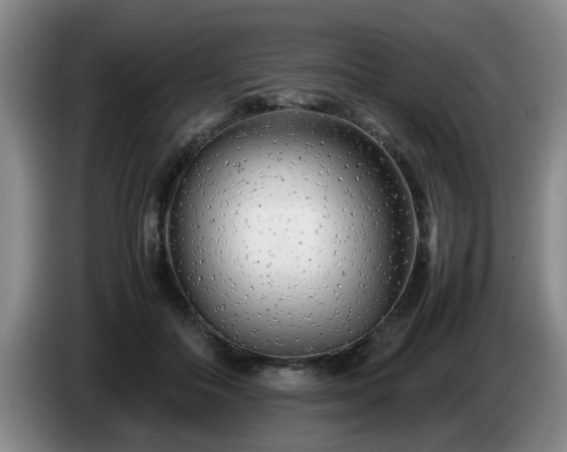 X0000085070506200703121645