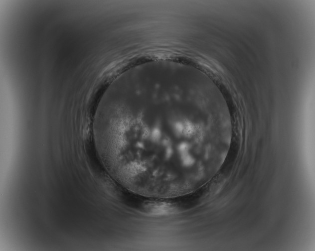 X0000085070507200703121645