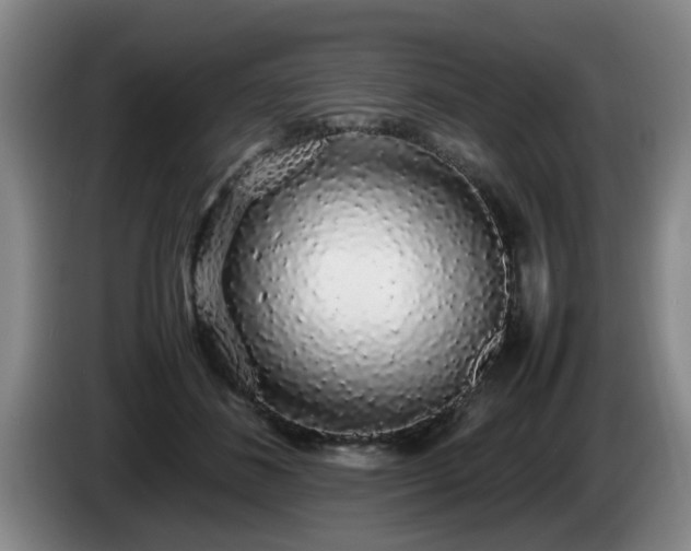 X0000085070508200703121645