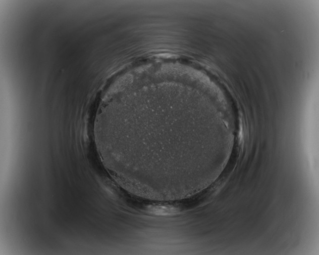 X0000085070512200703121645