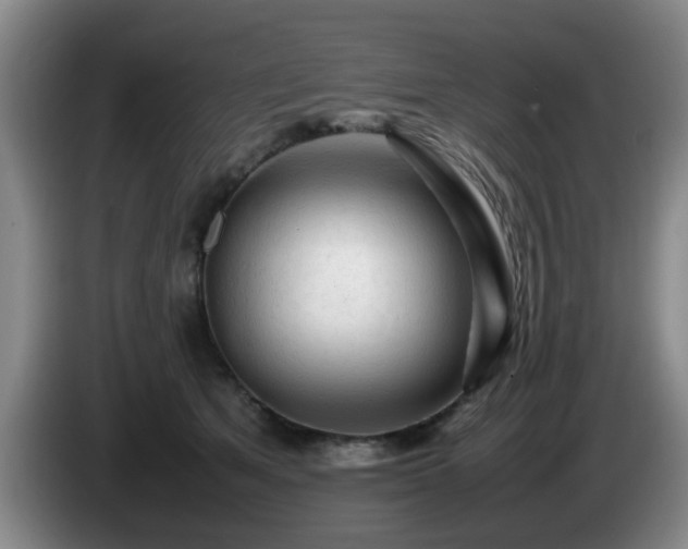 X0000085070513200703121644