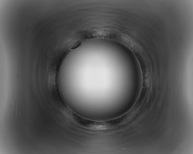 X0000085070514200703121644