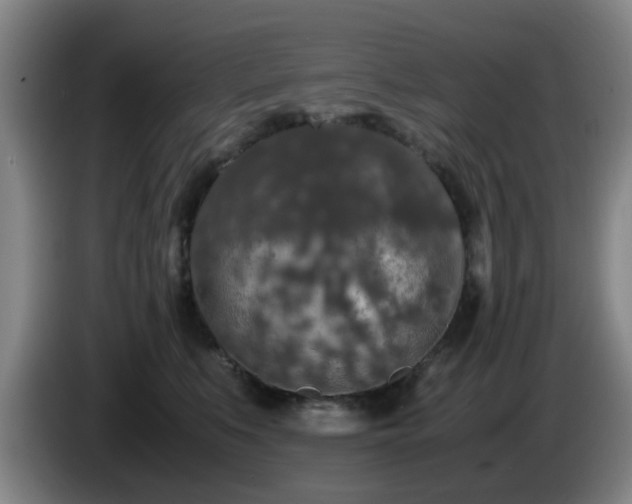 X0000085070519200703121644