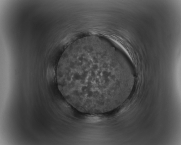 X0000085070523200703121644