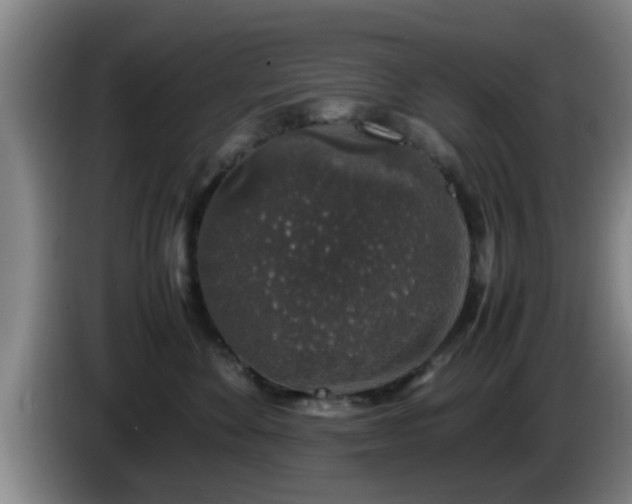 X0000085070524200703121644