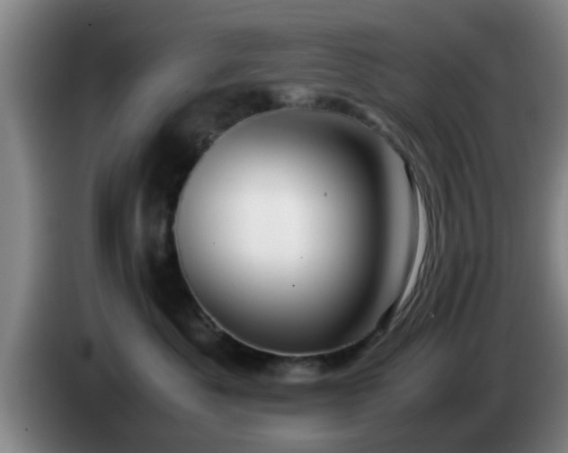 X0000085070525200703121644