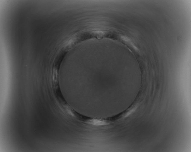 X0000085070528200703121644