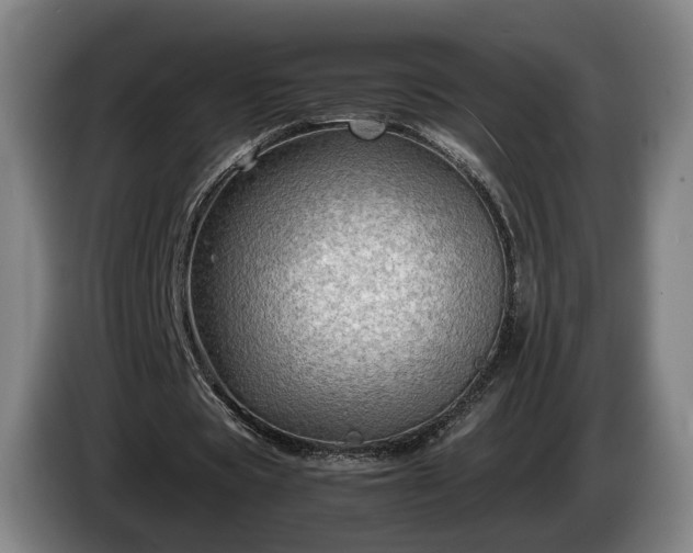 X0000085070529200703121644